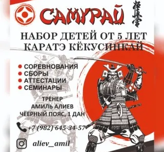 Каратэ Кекусинкай «Самурай»