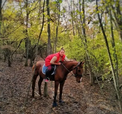 Обучение верховой езде