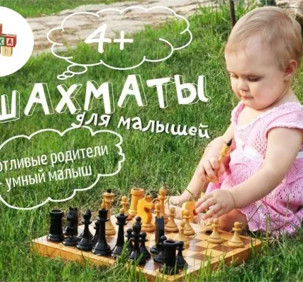 Шахматы для детей