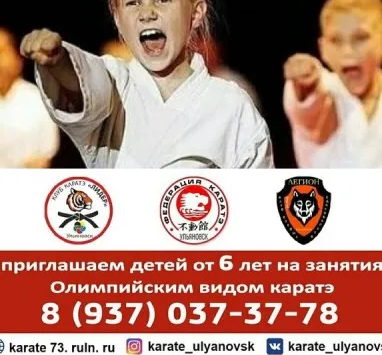 Олимпийское каратэ WKF