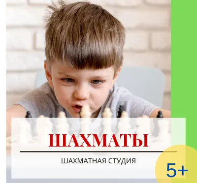 Шахматы