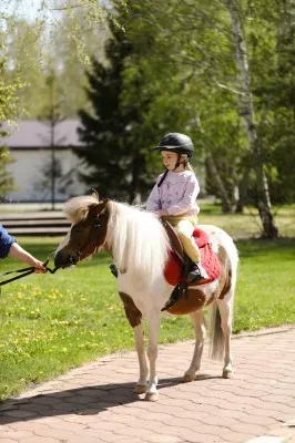 Клуб загородного отдыха "Серебряный Бор"