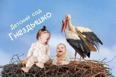 Гнёздышко